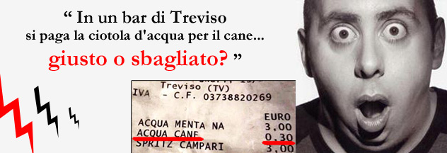 In un bar di Treviso si paga la ciotola d'acqua per il cane... giusto o sbagliato?